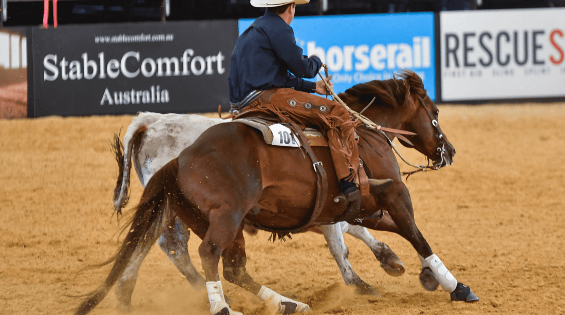 Is The Way We Feed Making Our Horses Gut Sick?