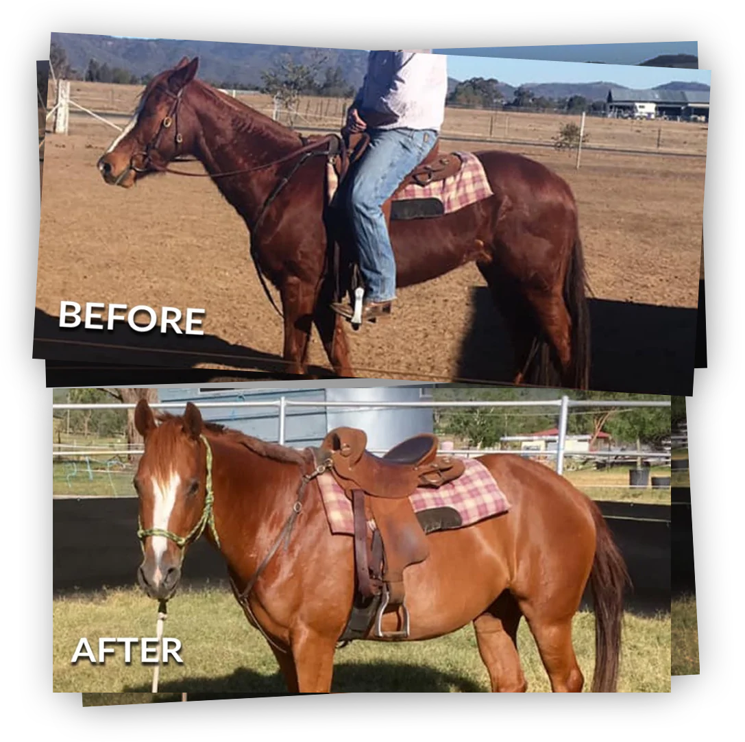Adam Rowland shares a 4 month transformation