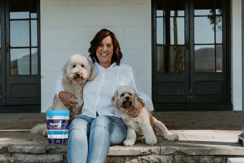 A Vet's Guide to Decoding CFU in Dog Gut Health Supplements