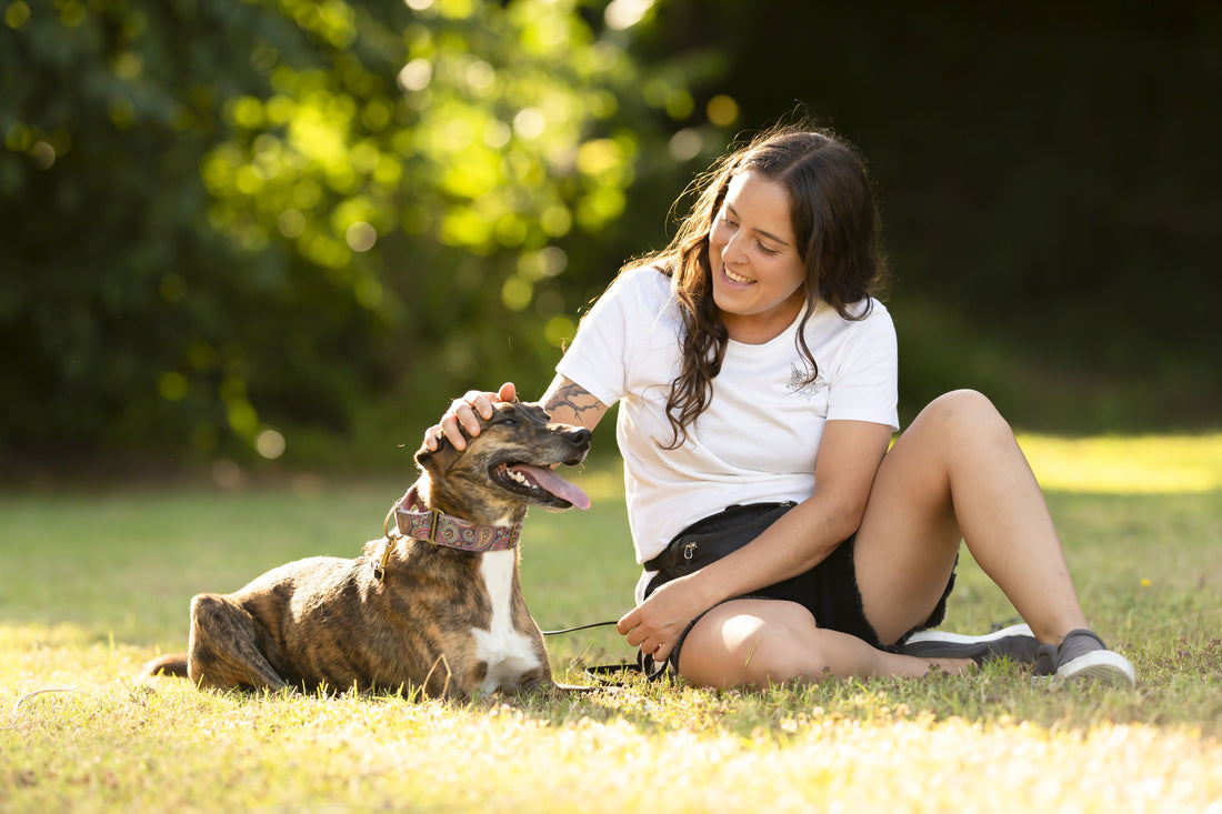 Tackling Obesity In Dogs