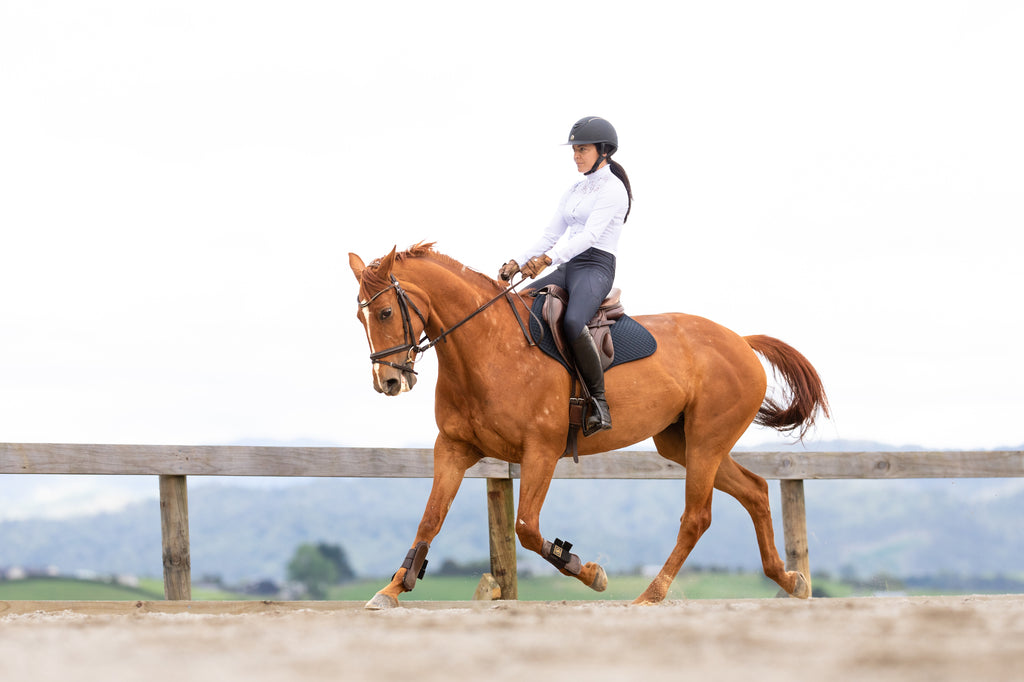 Which gut supplement is best for my horse?