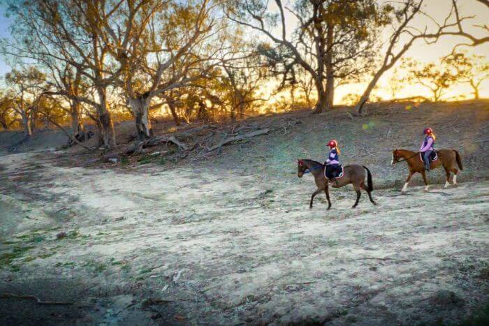 How To Feed Your Horse In A Drought