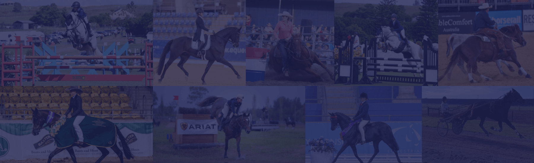 Webinar: Improving Your Racehorses’ Gut Health Can Improve Performance & Trainability