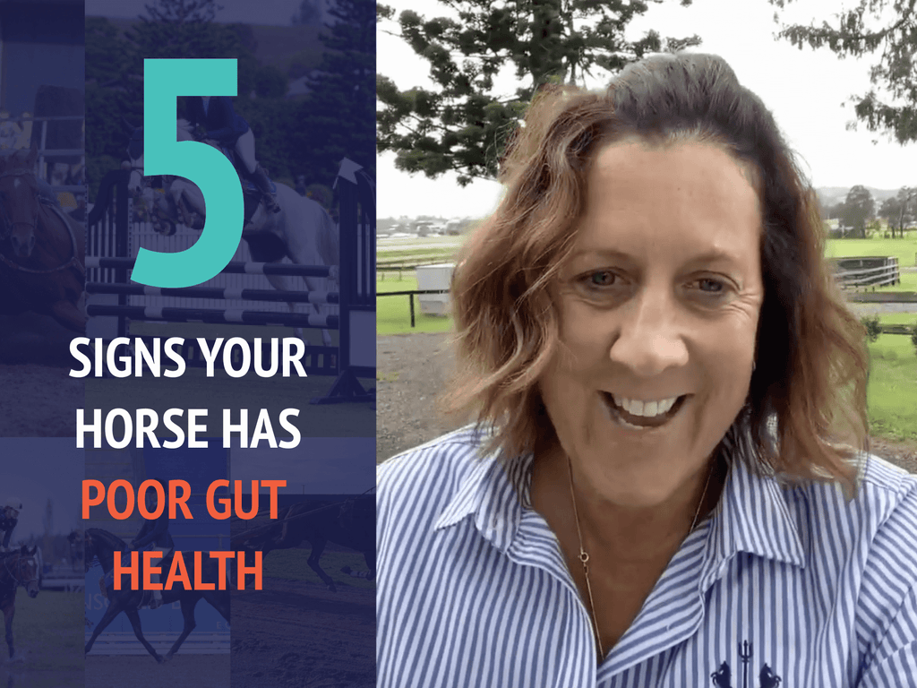 5 Signs Your Horse Has Poor Gut Health