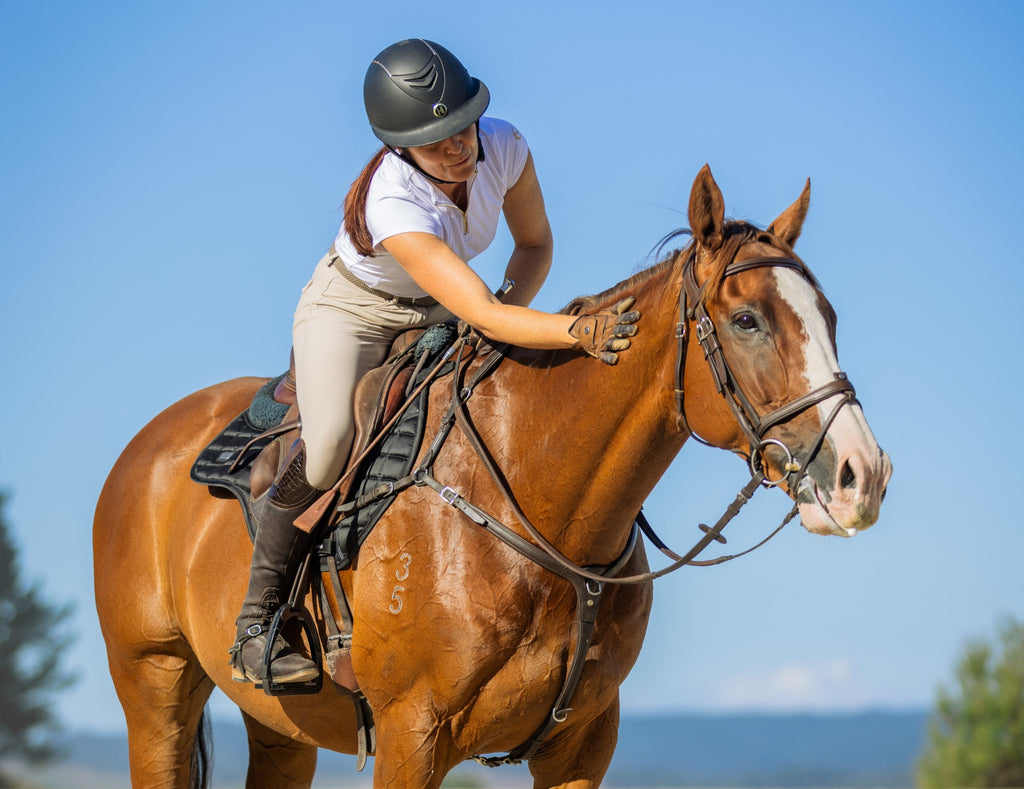 3 Times you should Review your Horse's Diet, and Why