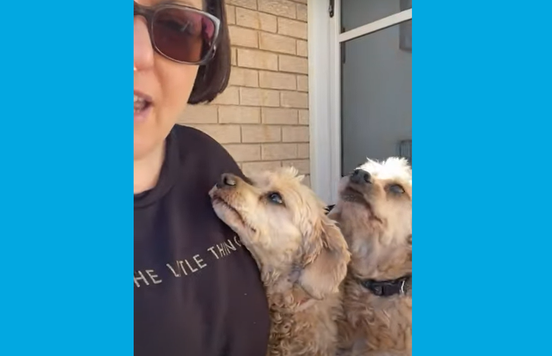 Belle reviews Digestive K9