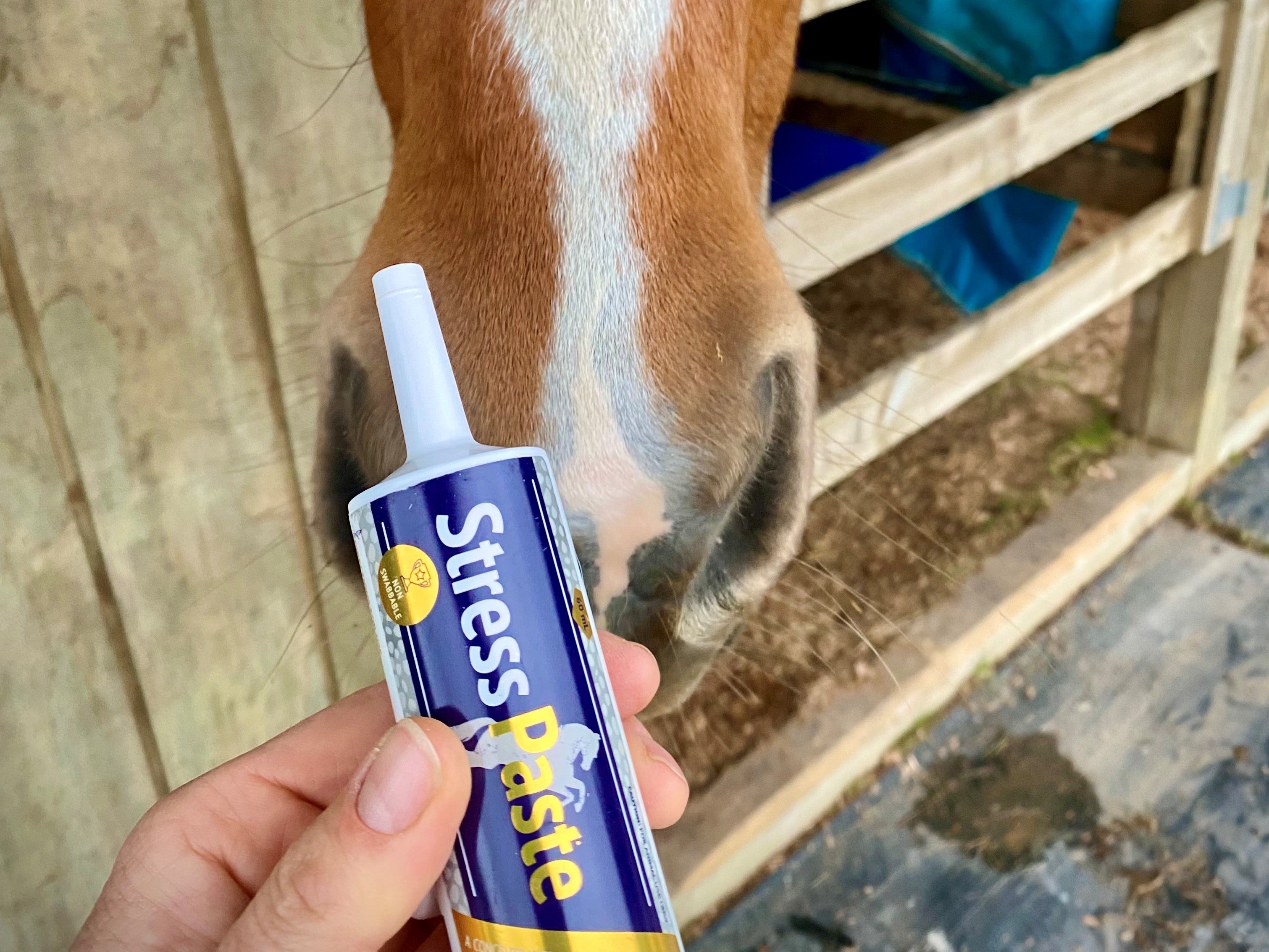 Use of Poseidon's Equine range as a Veterinarian