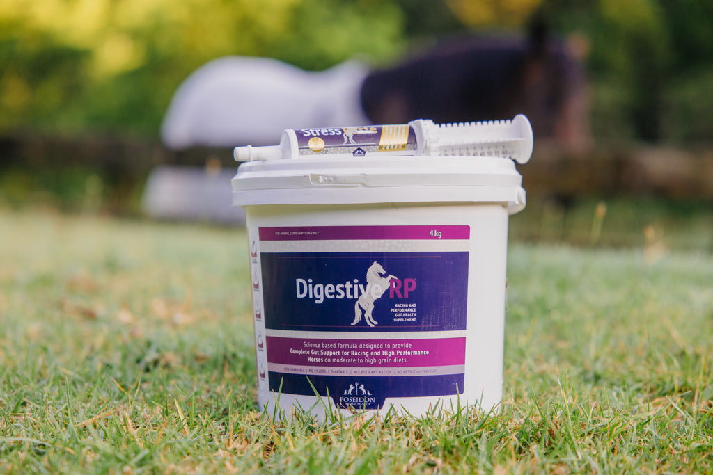 Equine Health Gut Reset Feeding Recommendations