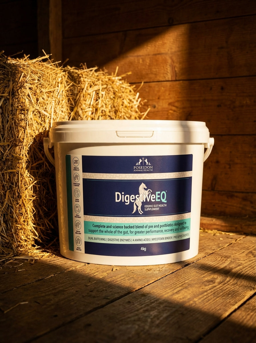 What an Independent Field Study Revealed About Digestive EQ and Hard-Keeper Horses