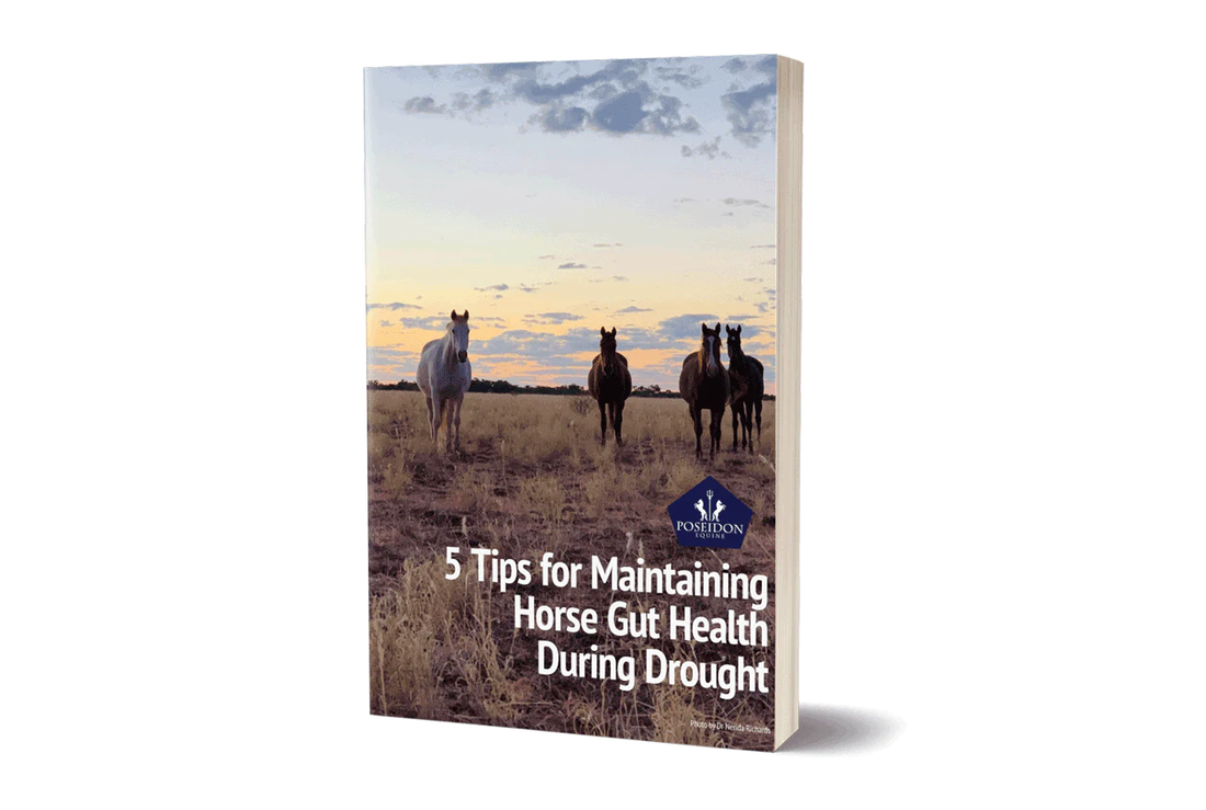 5 Tips for maintaining horse gut health through a drought