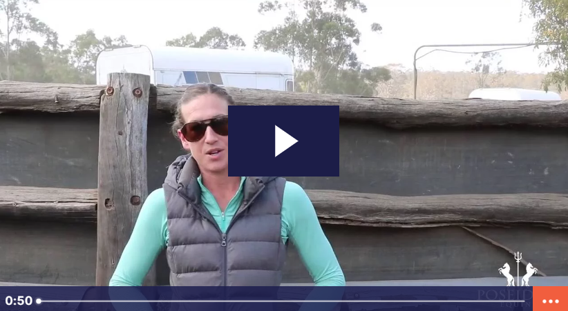 Dr Erin Roddy, Show Jumper