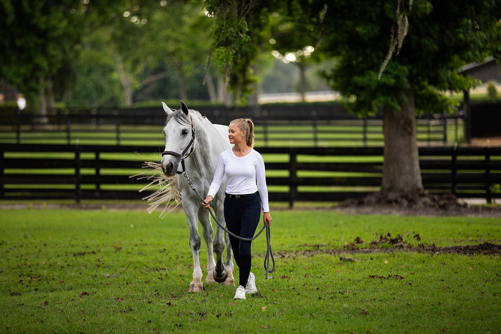 New Horse New Home Guides and Forms