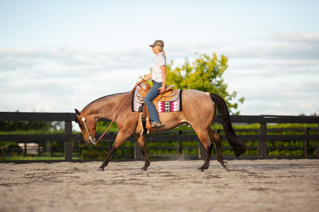Webinar: So you think your horse has ulcers - what next?