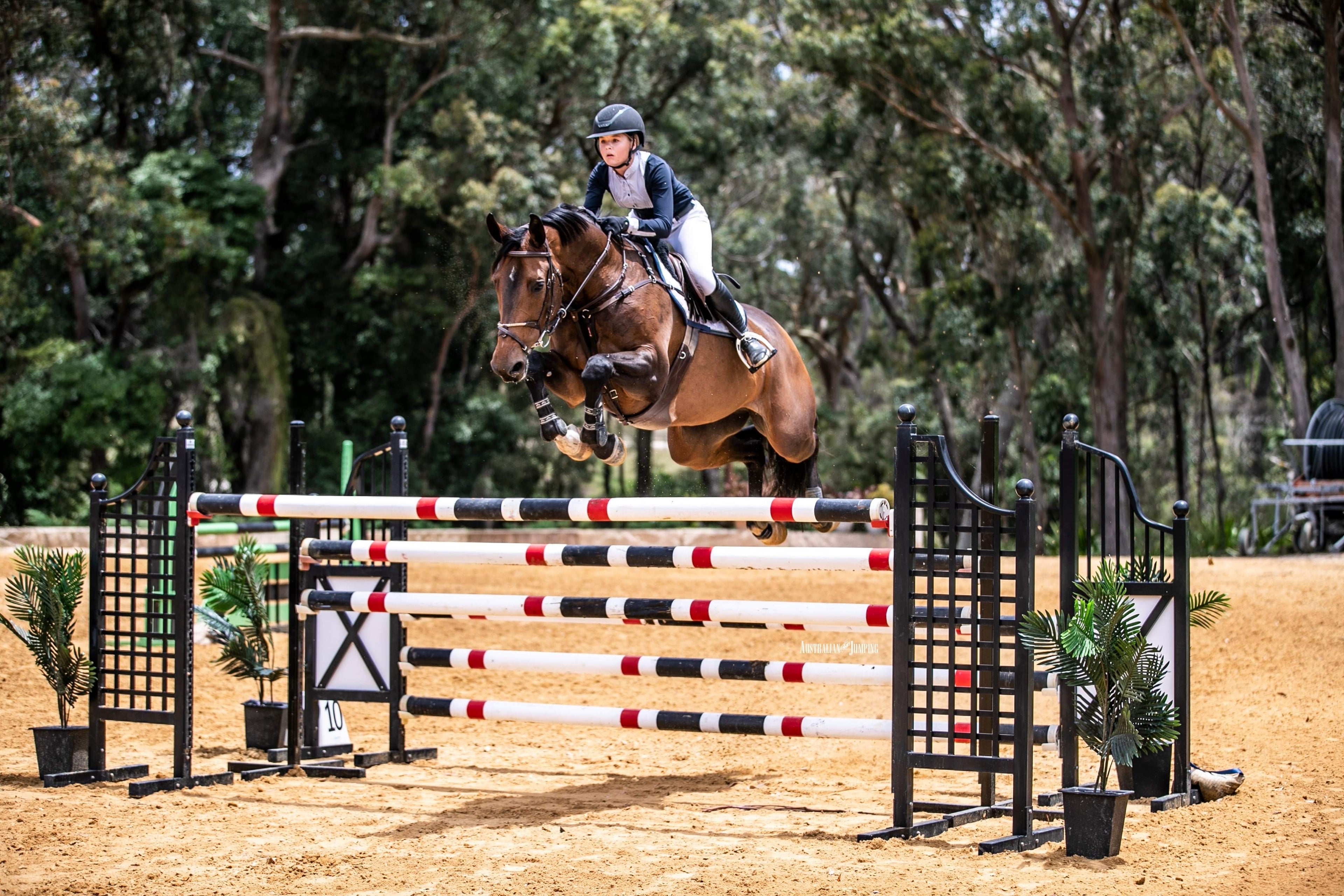 Meleah Lang-McMahon, International Champion Showjumper