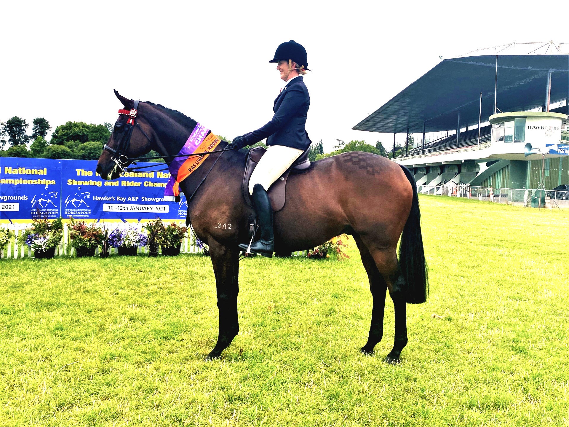 3 Things You'll Wish You'd Learned in Vet School