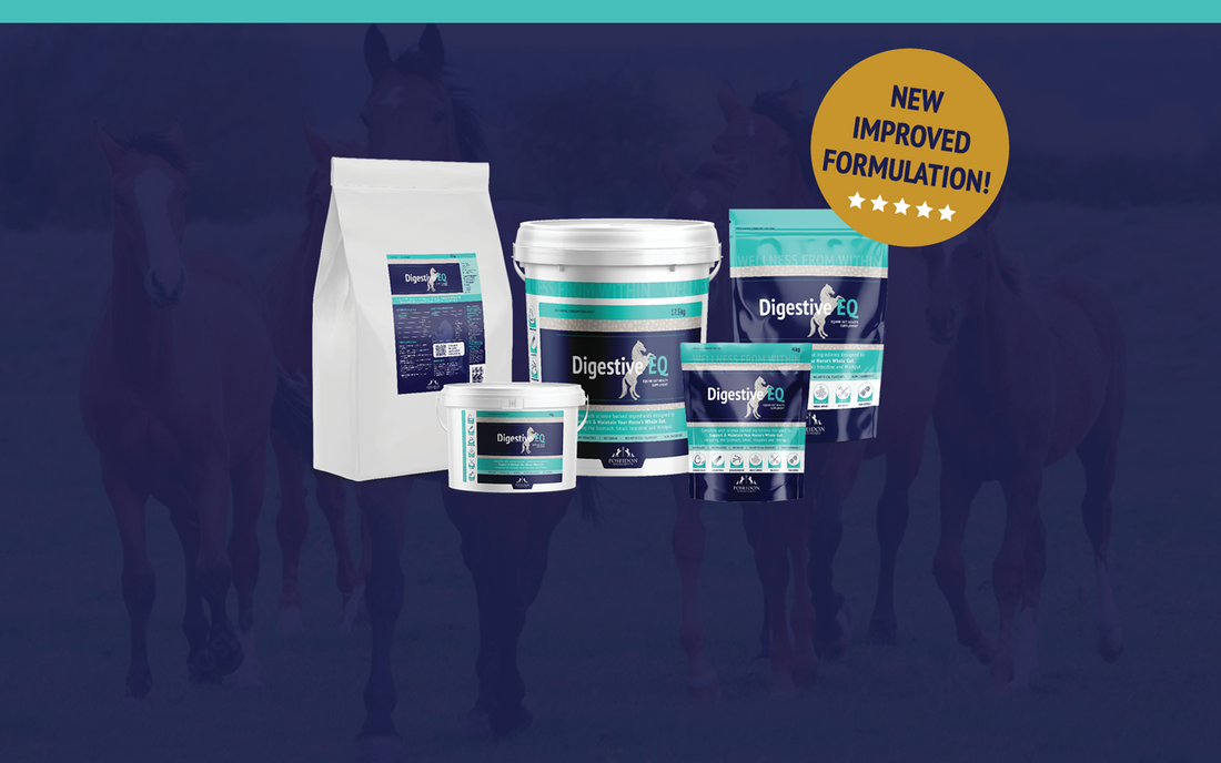 Introducing the NEW Digestive EQ Formulation