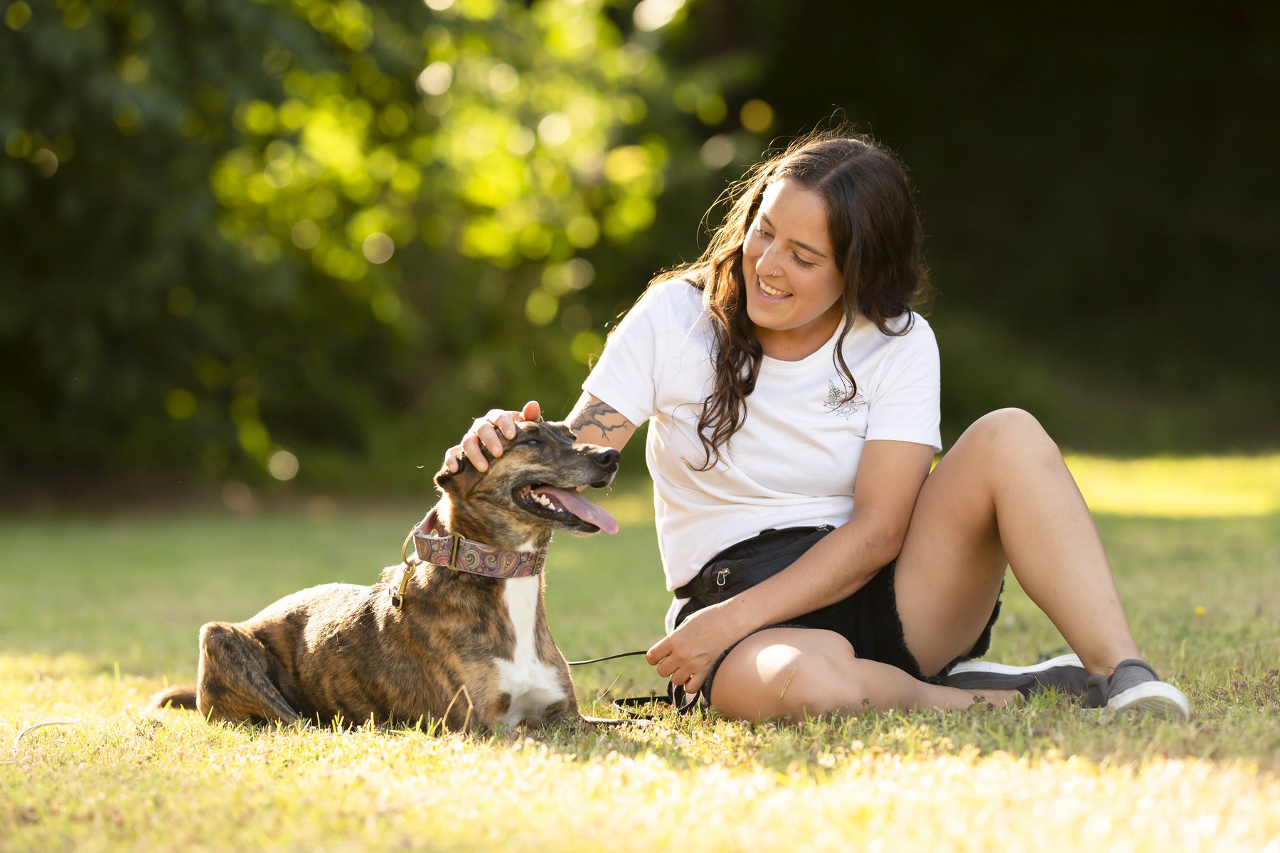 Tackling Obesity In Dogs