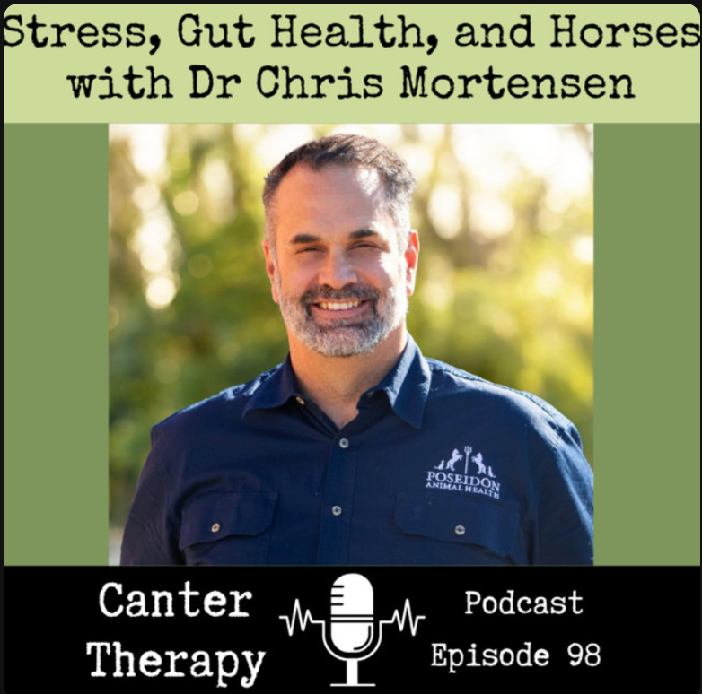 Stress, Gut Health and Horses: Canter Therapy Podcast featuring Dr. Chris Mortensen