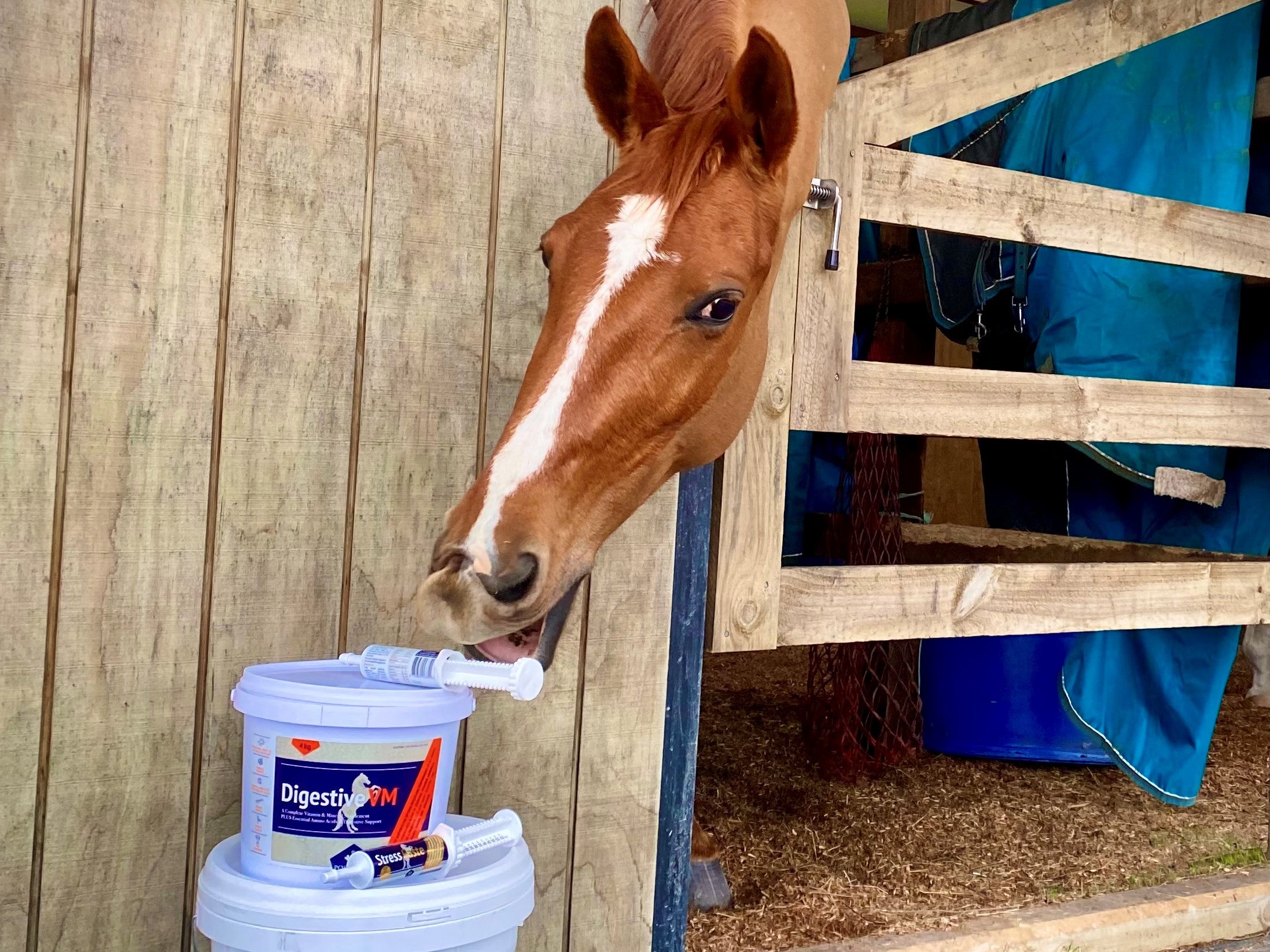 Why Stress Paste? Here are 8 Reasons you can't ignore!