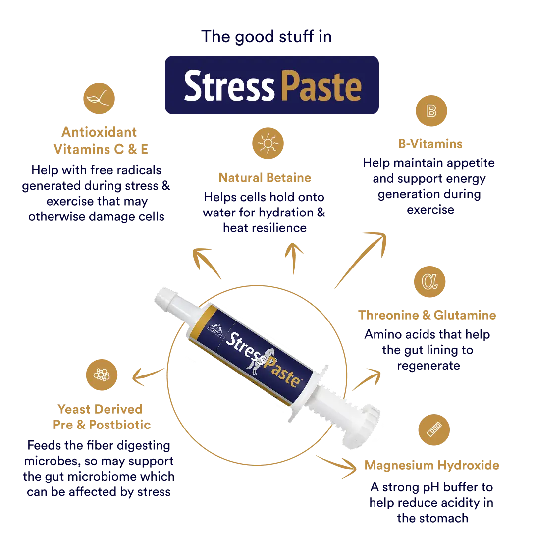Stress Paste Bundle