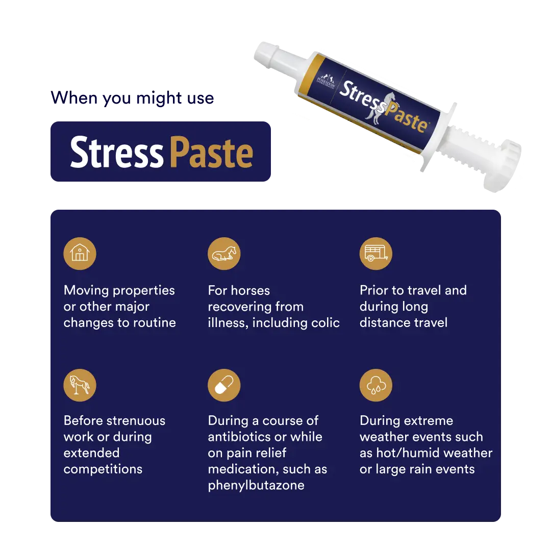 Stress Paste Bundle