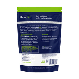 MetaboLize