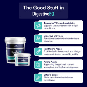 Digestive EQ