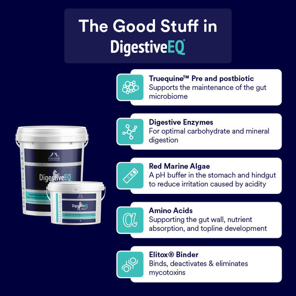 Digestive EQ