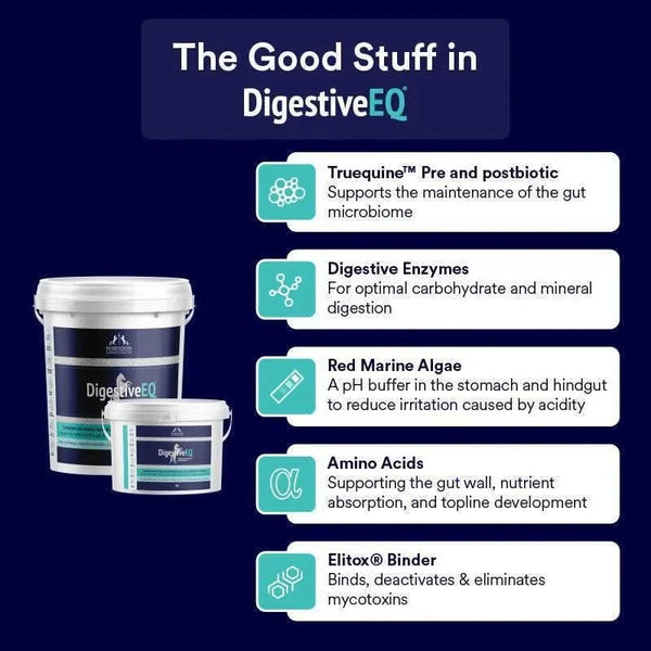 Digestive EQ
