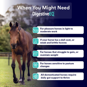 Digestive EQ