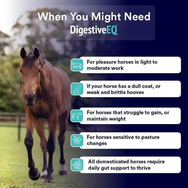 Digestive EQ