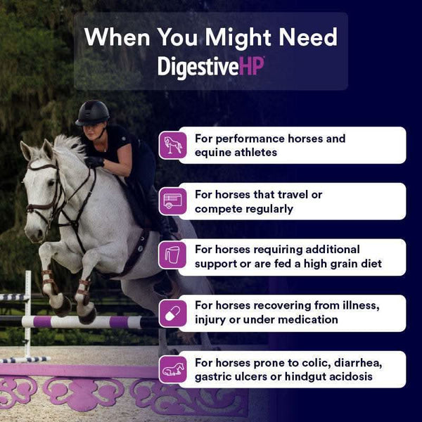 Digestive HP - Poseidon Animal Health
