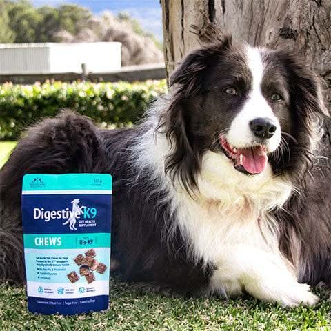 Digestive-K9 Chews - Poseidon Animal Health