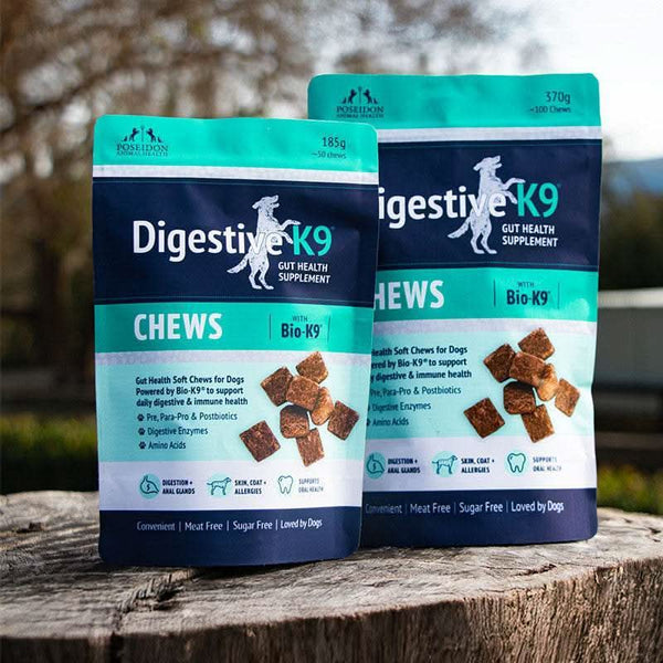 Digestive-K9 Chews - Poseidon Animal Health