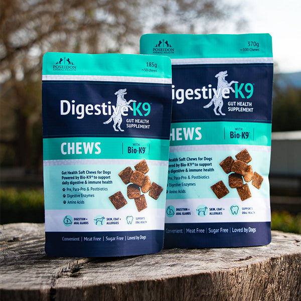 Digestive-K9 Chews