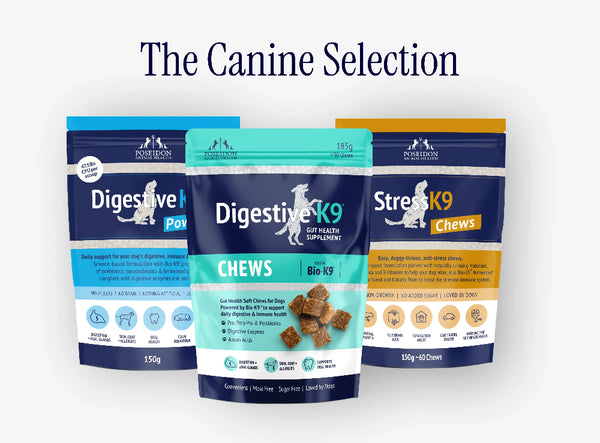 Three packages of 'The Canine Selection' dog health supplements on a white background