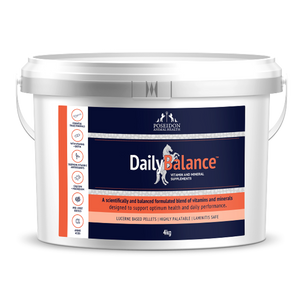 Daily Balance
