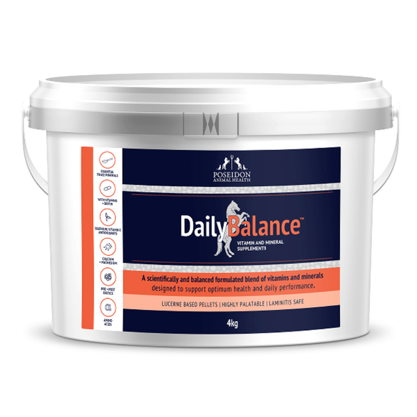 Daily Balance