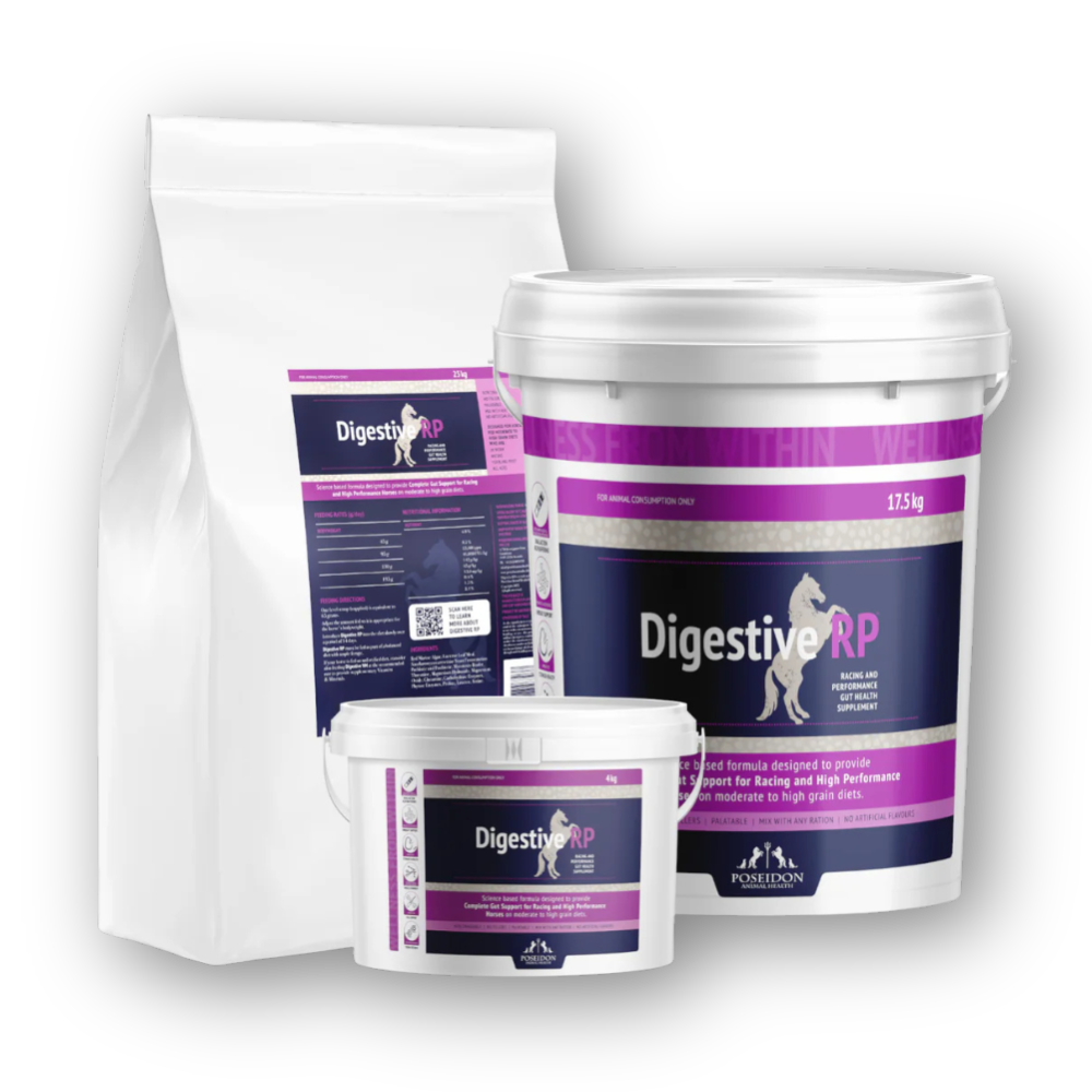 Digestive RP