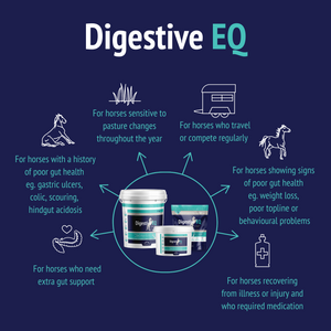 Digestive EQ