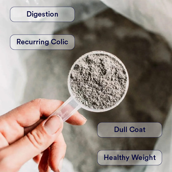 Digestive EQ
