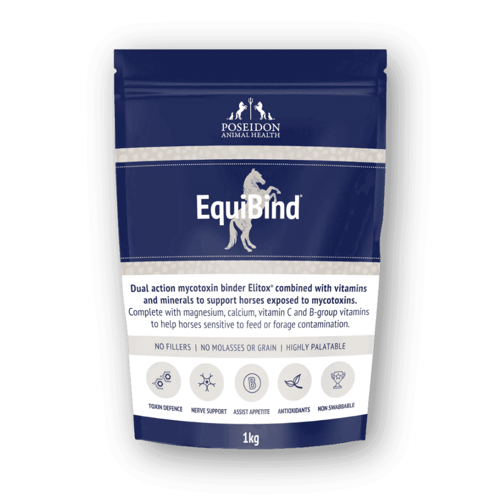 EquiBind - Poseidon Animal Health