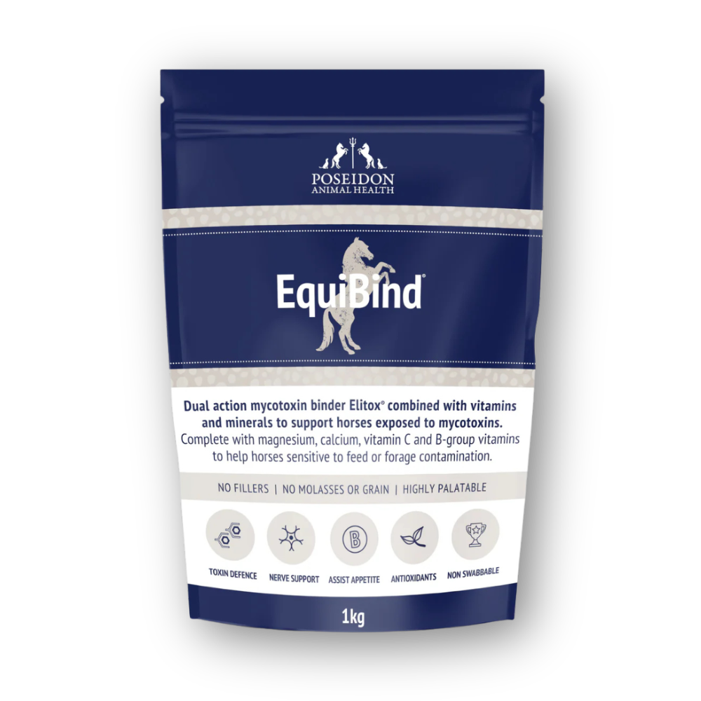EquiBind