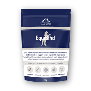 EquiBind