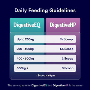 Choosing the right gut health supplement