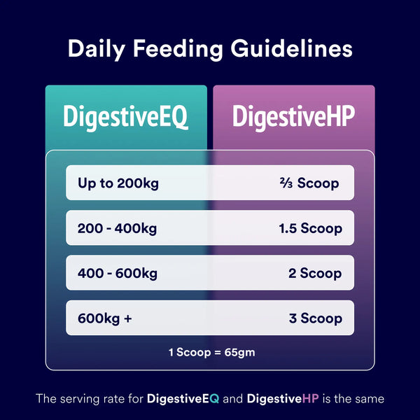 Choosing the right gut health supplement