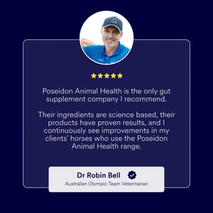 Choosing the right gut health supplement
