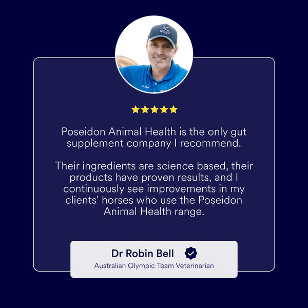 Choosing the right gut health supplement