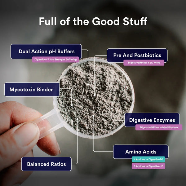 Choosing the right gut health supplement