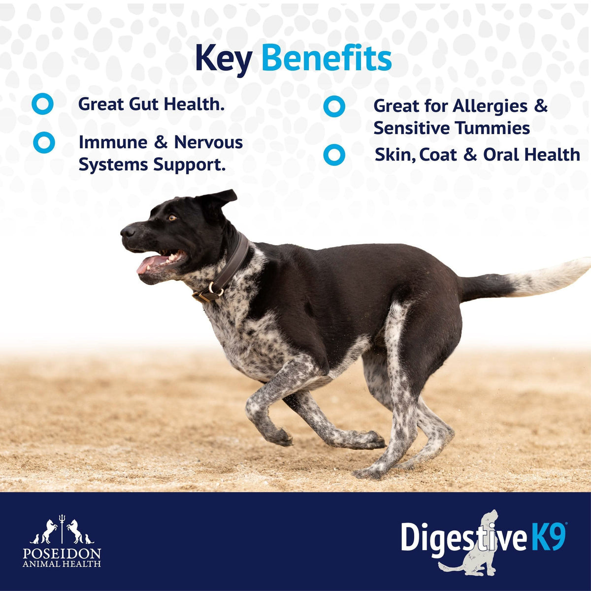 Digestive K9 Powder. A Canine Gut Health Supplement for Dogs.